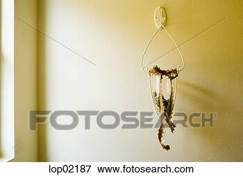 Picture - potpourri hanging in 
glass vase. fotosearch 
- search stock 
photos, pictures, 
images, and photo 
clipart